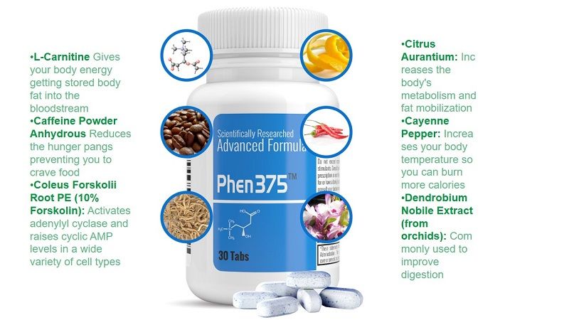 Phen375 Ingredients 