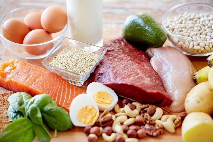 protein diets for fat loss